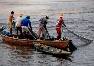 Maranhão é o estado com maior número de pescadores no