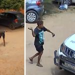 Mulher é presa após arremessar pedra contra viatura