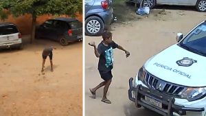 Mulher é presa após arremessar pedra contra viatura