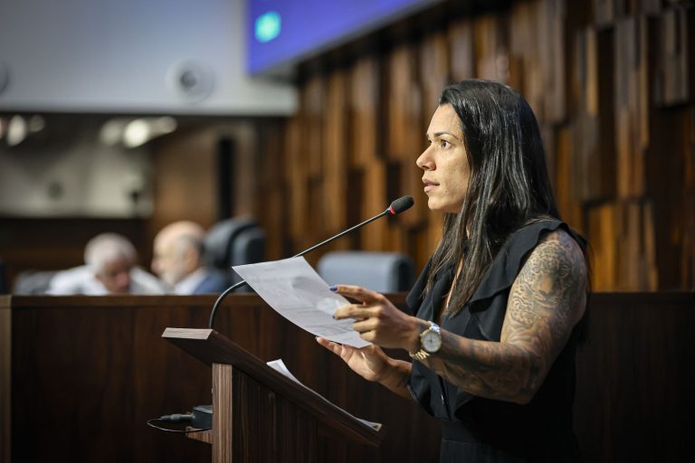 Na presidência de sessão, Índia intervém em bate-boca de colega