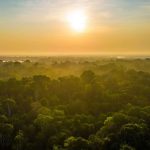“Nós vamos perder a Amazônia”, diz climatologista sobre aquecimento global