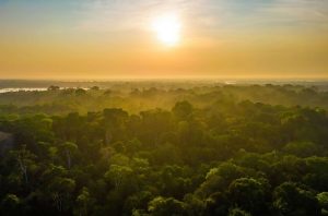 “Nós vamos perder a Amazônia”, diz climatologista sobre aquecimento global