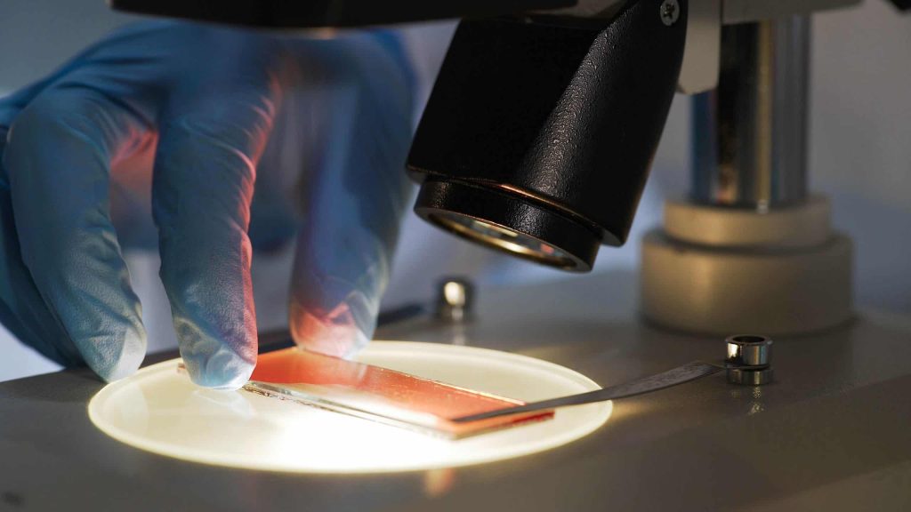 O que é um microscópio? Entenda como funciona e para