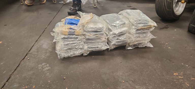 PRF apreende 21 tabletes de cloridrato de cocaína na BR-135
