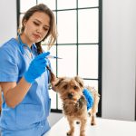 Por que medimos a temperatura dos animais pelo ânus?