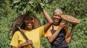 Projeto Terras Para Elas prevê apoio a 5mil trabalhadoras agrícolas