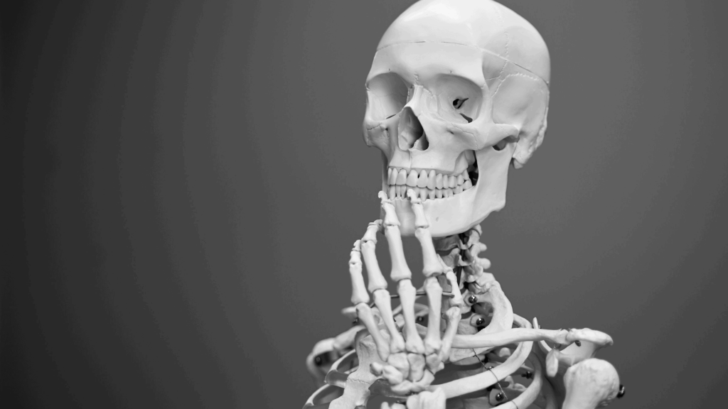 Qual é o maior osso do corpo humano?