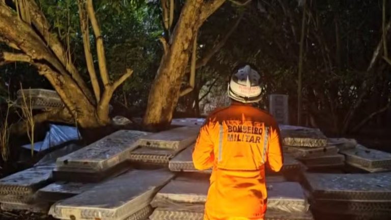 Resgate de maranhense em topo de árvore já dura mais