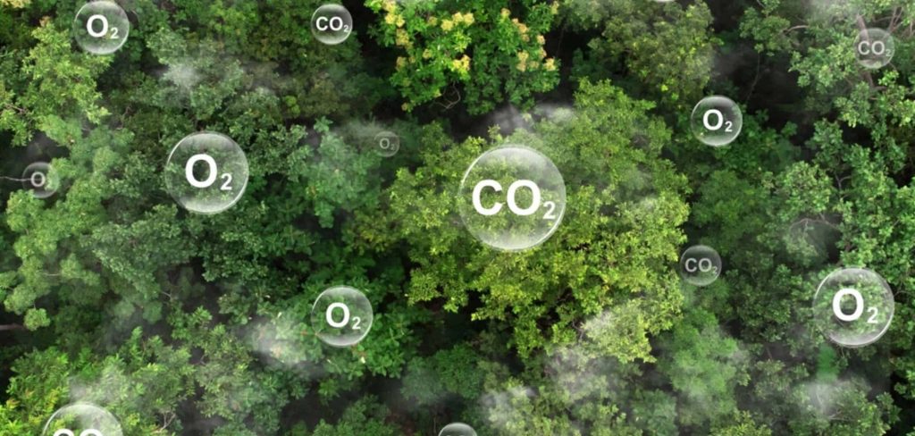 Revolução verde: como o CO₂ está virando cimento