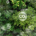 Revolução verde: como o CO₂ está virando cimento