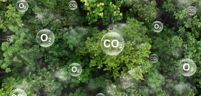 Revolução verde: como o CO₂ está virando cimento