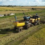 São Mateus do Maranhão bate recorde histórico na produção de