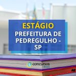 Seletivo Prefeitura de Pedregulho - SP abre 68 vagas em