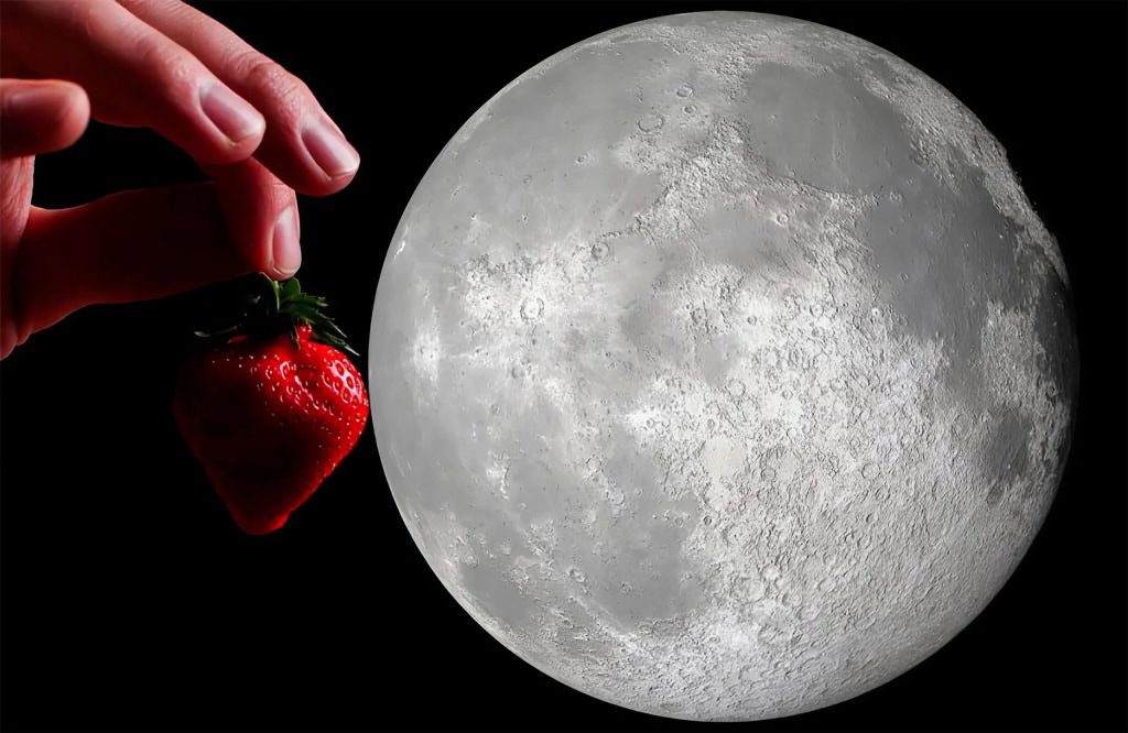 Semana dos namorados traz “Lua de Morango” – entenda por