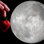 Semana dos namorados traz “Lua de Morango” – entenda por