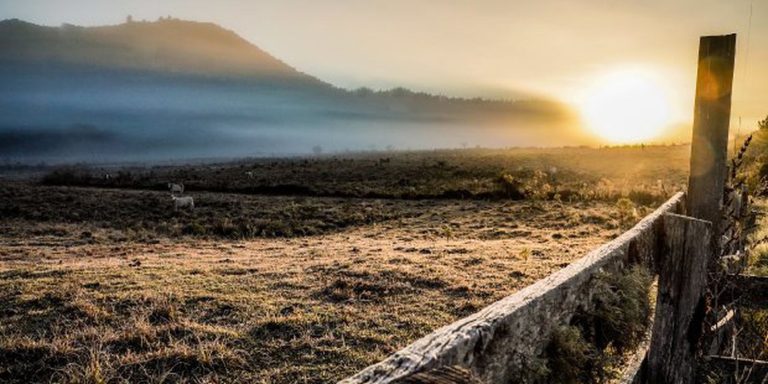 Serra Catarinense tem sensação térmica de 29 ºC negativos