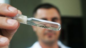 Vacina contra dengue deve estar disponível no início de 2026