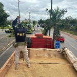 Vinte e nove tabletes de cocaína são apreendidos escondidos em