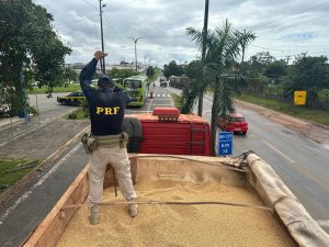 Vinte e nove tabletes de cocaína são apreendidos escondidos em