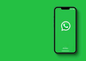 WhatsApp atualiza figurinhas, emojis, enquetes e chamadas de vídeo