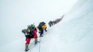 10 curiosidades inusitadas que você não sabia sobre o Monte