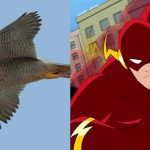 8 animais com habilidades que parecem superpoderes