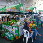 Abertas as inscrições para expositores da 3ª Feira Maranhense da