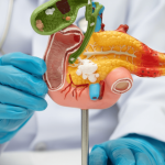 Afinal, para que serve o pâncreas no corpo humano?