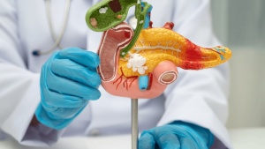 Afinal, para que serve o pâncreas no corpo humano?
