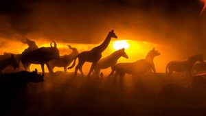 Animais realmente conseguem prever desastres naturais?