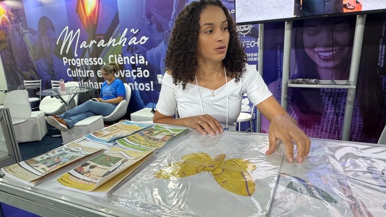 Apresentadas no estande da Fapema, pesquisas sobre borboletas maranhenses recebem