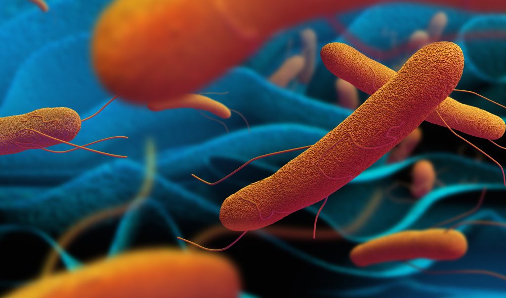 Bactéria mortal está se tornando resistente aos antibióticos
