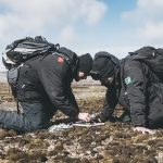 Brasileiros descobrem novas espécies de cogumelos na Antártica