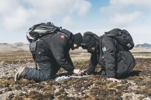 Brasileiros descobrem novas espécies de cogumelos na Antártica