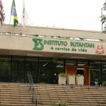 Butantan se prepara para testar vacina contra gripe aviária em