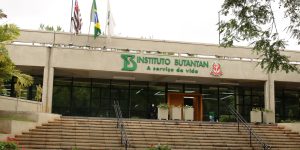 Butantan se prepara para testar vacina contra gripe aviária em