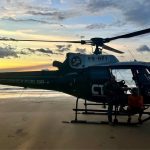 CTA evita incidente com tubarões e banhistas em São Luís
