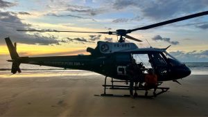 CTA evita incidente com tubarões e banhistas em São Luís