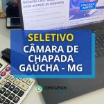 Câmara de Chapada Gaúcha - MG publica vagas em seleção