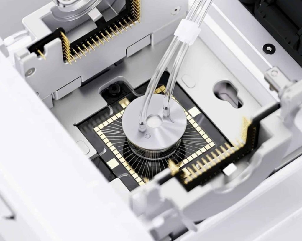 Computador feito à base de neurônios humanos já está à