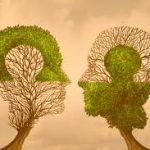 Conexão humana: questão de sobrevivência