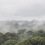Conheça (e entenda) o que são os “rios voadores” da