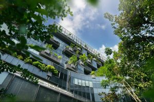 Conheça o ‘concreto vivo’ que captura CO2