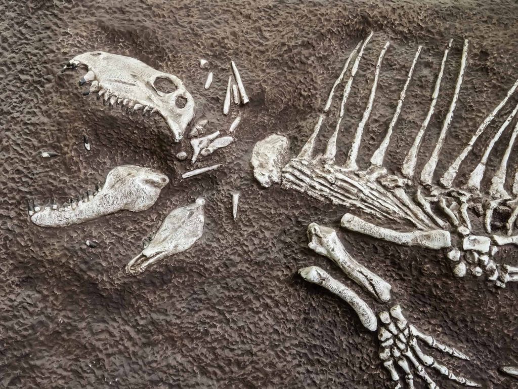 Conheça os supercarnívoros que dominaram a Terra antes dos dinossauros