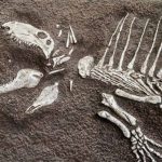 Conheça os supercarnívoros que dominaram a Terra antes dos dinossauros