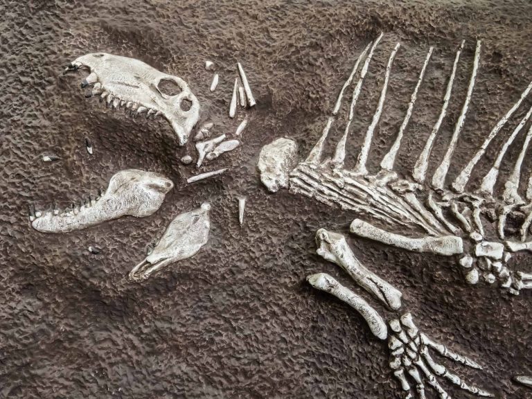 Conheça os supercarnívoros que dominaram a Terra antes dos dinossauros
