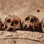 DNA ancestral revela quando animais começaram a passar doenças para