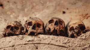 DNA ancestral revela quando animais começaram a passar doenças para