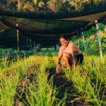 Dia da Agricultura Familiar é celebrado com várias atividades no