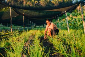 Dia da Agricultura Familiar é celebrado com várias atividades no